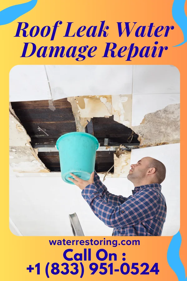 Roof Leak Water Damage Repair in Forsyth, IL