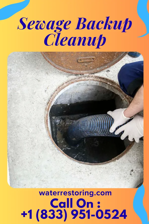Sewage Backup Cleanup in Forsyth, IL